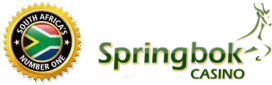 Springbok Casino logo with the South African flag seal